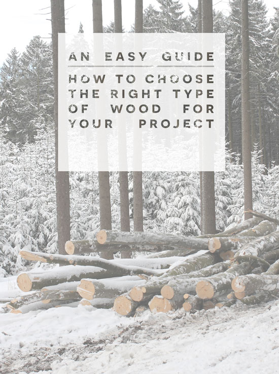 Getting Started // How to Choose the Right Type of Wood ...